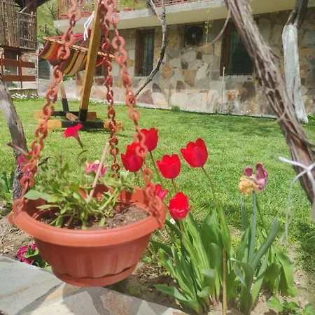 בית הארחה гаджакови דבין