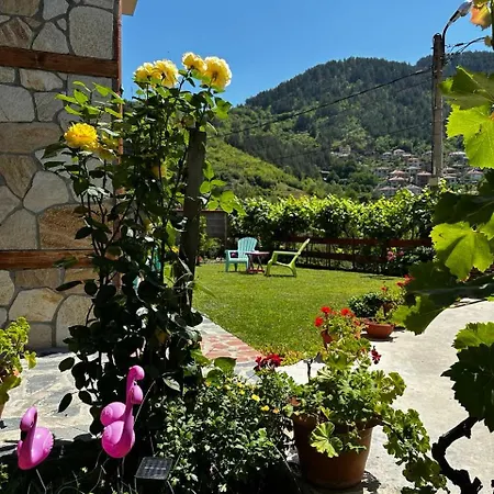 гаджакови 3* דבין