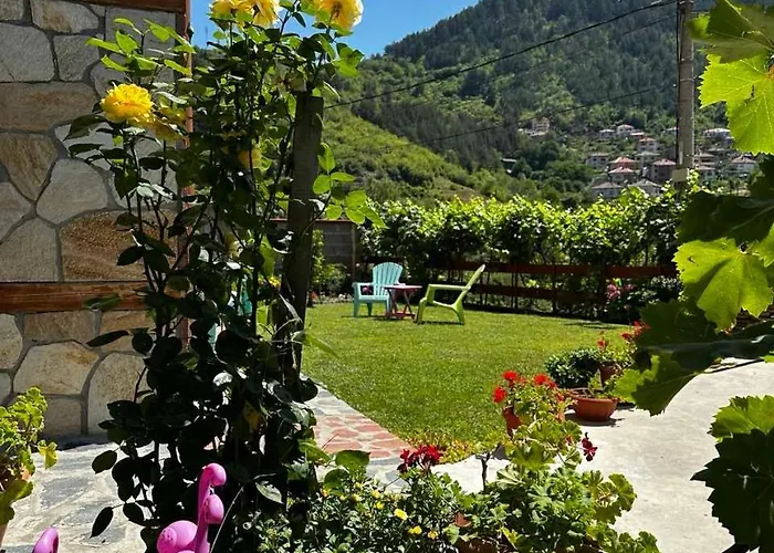 гаджакови 3* Devin